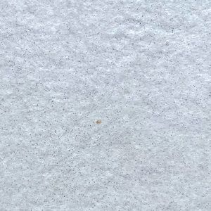 Meet your Posher, Carlos